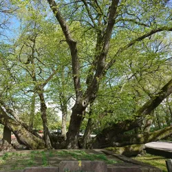 Torslanda Church - Torslanda