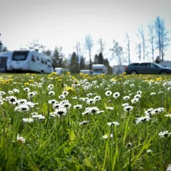 Götastrand - Trollhattan