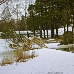 Knorren Nature Reserve - Trollhattan
