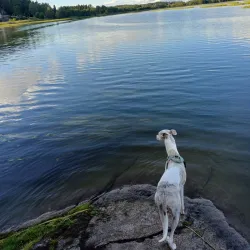 Knorren Nature Reserve - Trollhattan