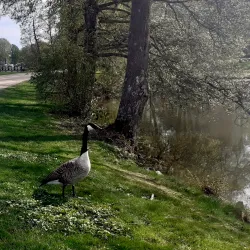 Trollhättan City Park (Stadsparken) - Trollhattan