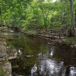 Alby Nature Reserve - Tumba