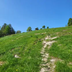 Alby Nature Reserve - Tumba