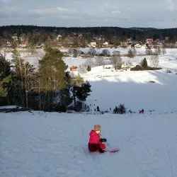 Alby Nature Reserve - Tumba