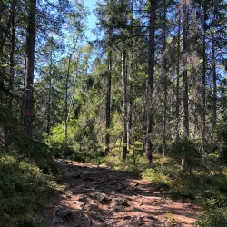 Alby Nature Reserve - Tumba