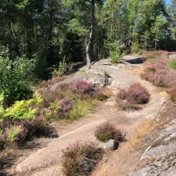 Alby Nature Reserve - Tumba