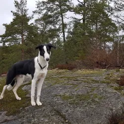 Alby Nature Reserve - Tumba