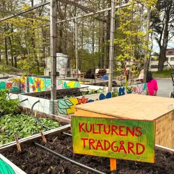 Botkyrka Konsthall - Tumba