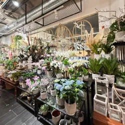 Tumba Centrum - Tumba