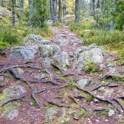 Vårsta Nature Reserve - Tumba