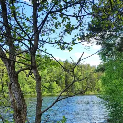 Vårsta Nature Reserve - Tumba