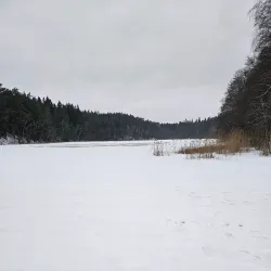 Vårsta Nature Reserve - Tumba