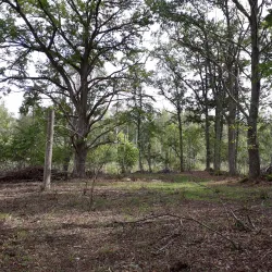 Stångåleden Trail - Åtvidaberg