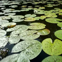 Åtvidabergs Golfklubb - Åtvidaberg