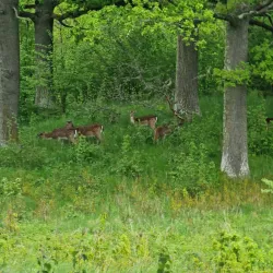 Åtvidabergs Golfklubb - Åtvidaberg