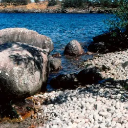 Vättern Lake Shore - Åtvidaberg