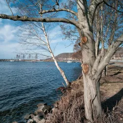 Vättern Lake Shore - Åtvidaberg