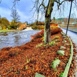 Bäveån River Walk - Uddevalla