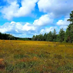 Herrestadsfjället - Uddevalla