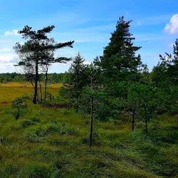 Herrestadsfjället - Uddevalla