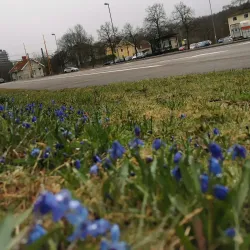 Lilla Torget - Uddevalla