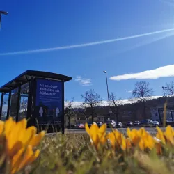 Lilla Torget - Uddevalla