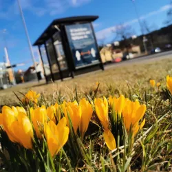 Lilla Torget - Uddevalla