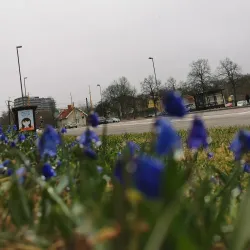 Lilla Torget - Uddevalla