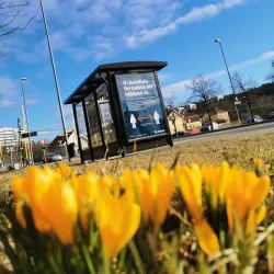 Lilla Torget - Uddevalla