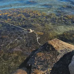 Ramsvikslandet Nature Reserve - Uddevalla