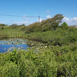 Ramsvikslandet Nature Reserve - Uddevalla