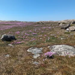 Ramsvikslandet Nature Reserve - Uddevalla