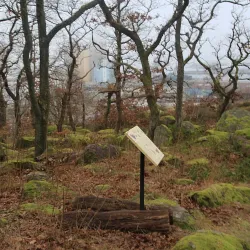 Skansberget Nature Reserve - Uddevalla