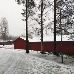Gammliaskogen Nature Reserve - Umea