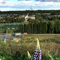 Gammliaskogen Nature Reserve - Umea