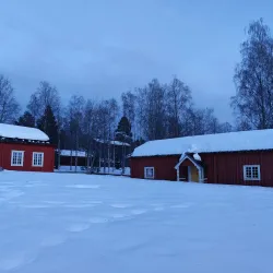 Gammliaskogen Nature Reserve - Umea