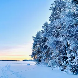 Nydala Lake and Recreation Area - Umea