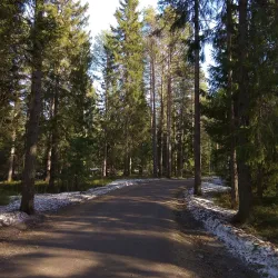 Nydala Lake and Recreation Area - Umea