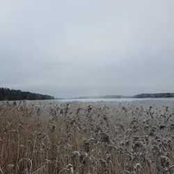 Nydala Lake and Recreation Area - Umea