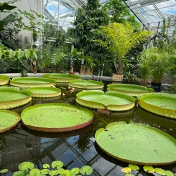 Botanical Garden (Botaniska trädgården) - Uppsala