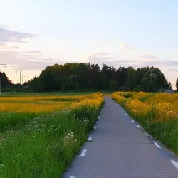 Gamla Uppsala (Old Uppsala) - Uppsala