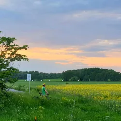 Gamla Uppsala (Old Uppsala) - Uppsala