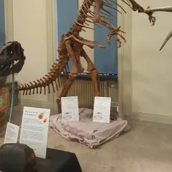 Museum of Evolution (Evolutionmuseet) - Uppsala