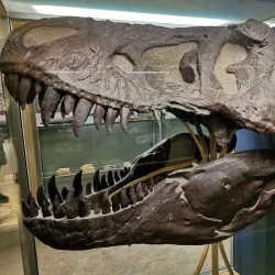 Museum of Evolution (Evolutionmuseet) - Uppsala