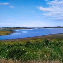 Getterön Nature Reserve - Varberg
