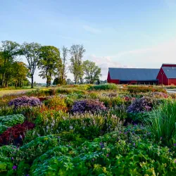 Finnvedens Museum - Varnamo