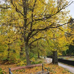 Djäkneberget Park - Vasteras