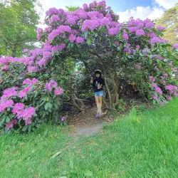 Djäkneberget Park - Vasteras