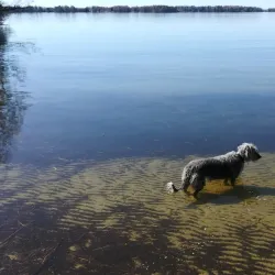Lake Mälaren - Vasteras
