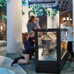 Västerås Museum - Vasteras